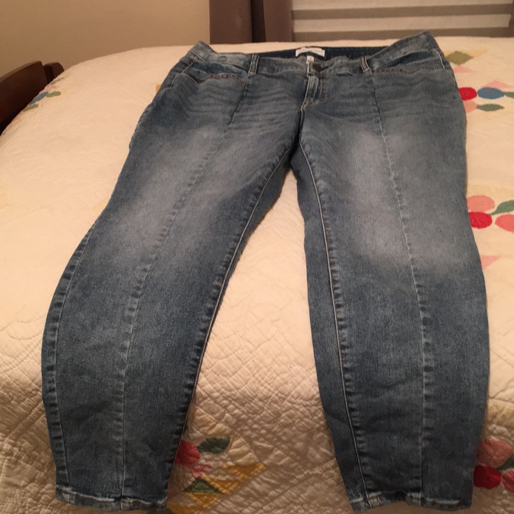 Lane Bryant Jeans